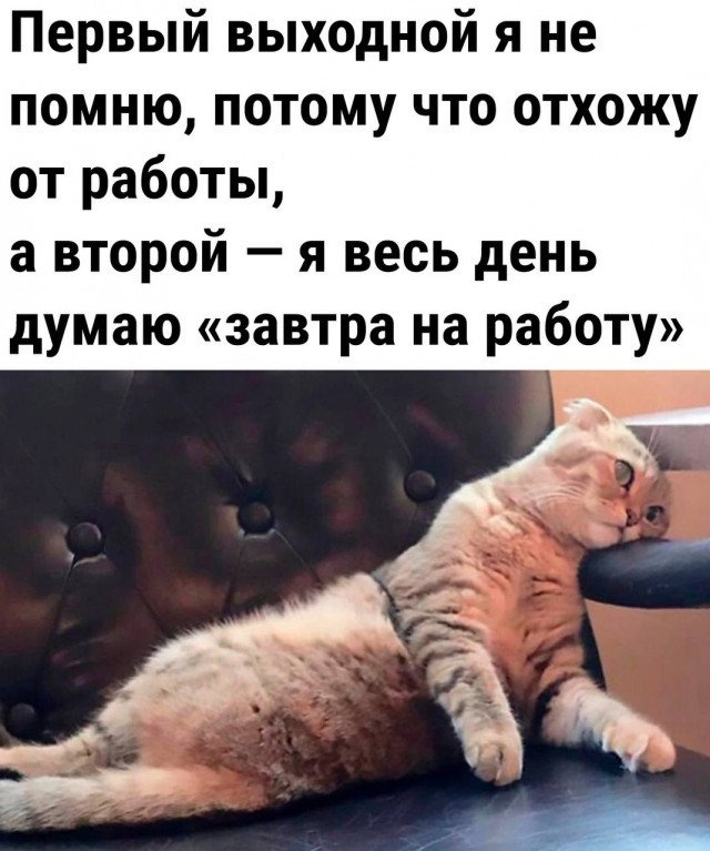 Немного мемчиков. Для взрослых. Часть 26
