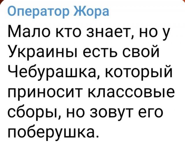 Зеленский ввёл санкции против экс-ведущей «Спокойной ночи, малыши» Ангелины Вовк после её слов о желании отправиться «на фронт» с Хрюшей и Степашкой.