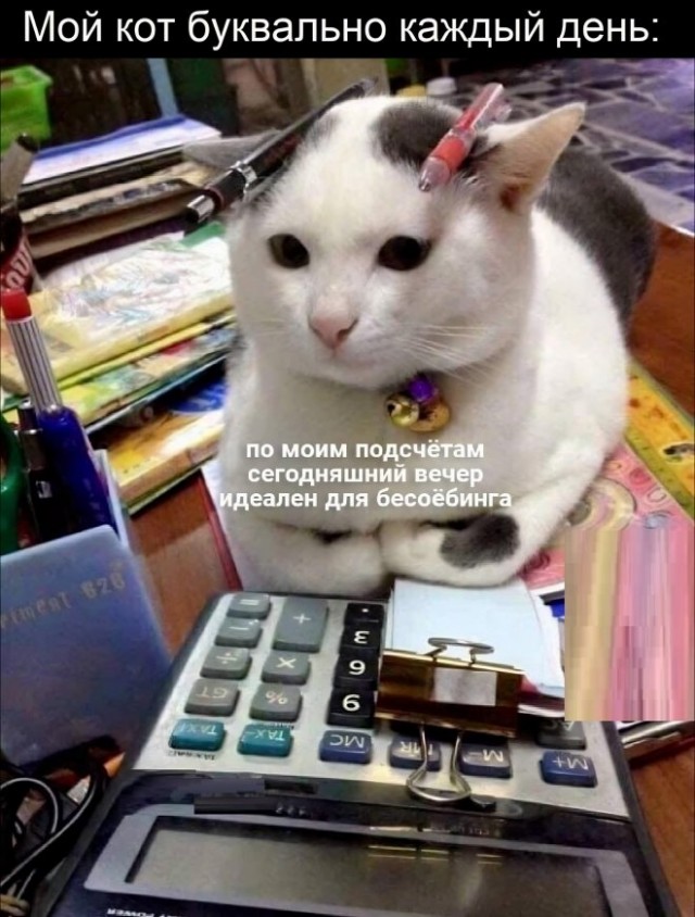 Картинки и мемы, всем хороших выходных