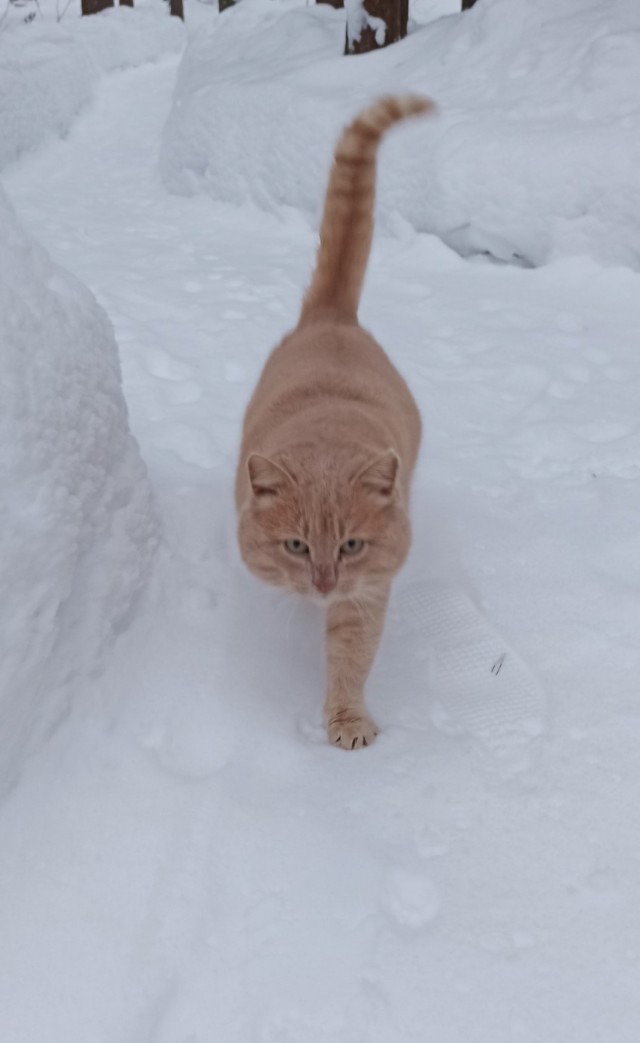 Всем здрасьте