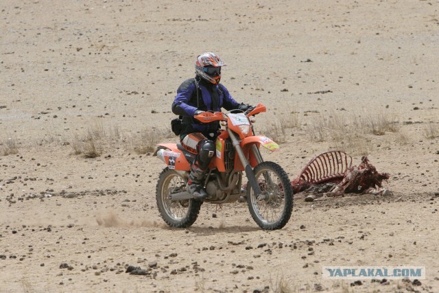 В Монголию на мотоциклах 2006