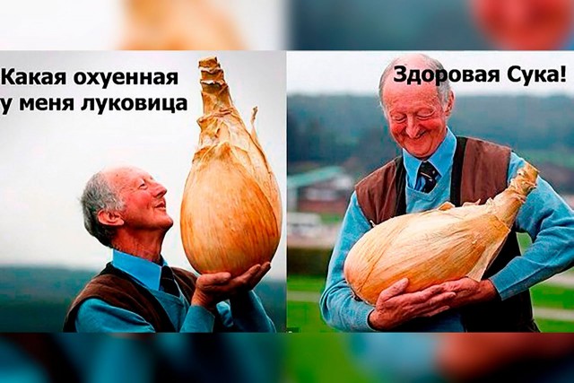 Так себе картинки 17.08.23