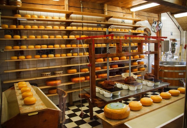 Беларусь вошла в первую пятерку мировых экспортеров сыра