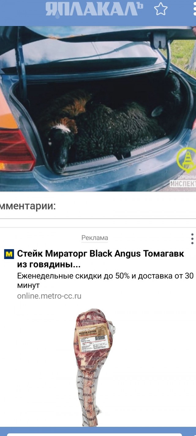 7 баранов в одной машине не положено по ПДД