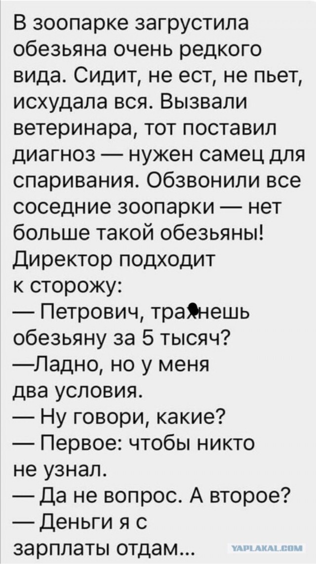 Ура, товарищи! Понедельник!