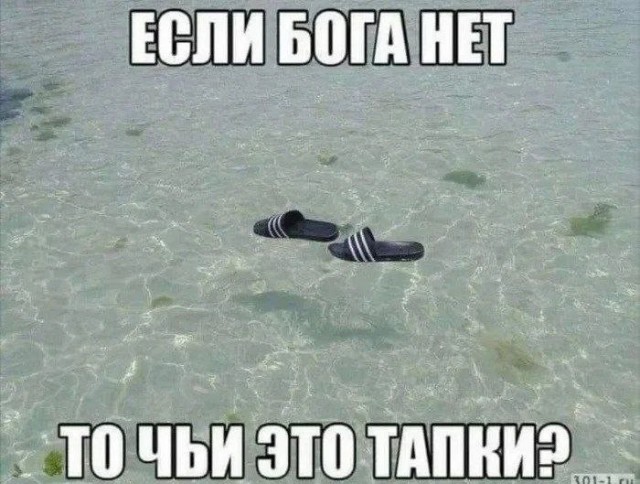 Самые смешные картинки с черным юмором за май-июнь 2024 года