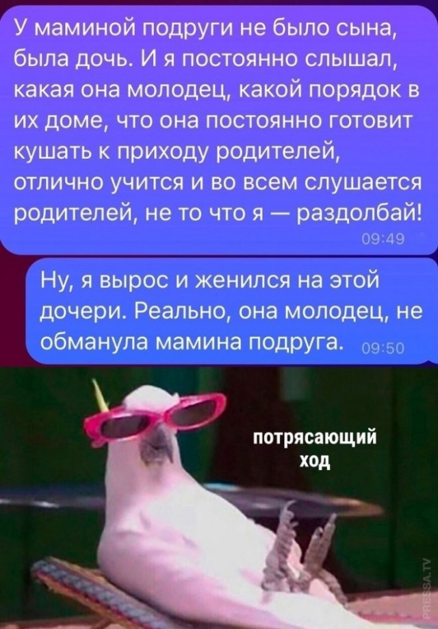 Так себе картинки 05.08.24