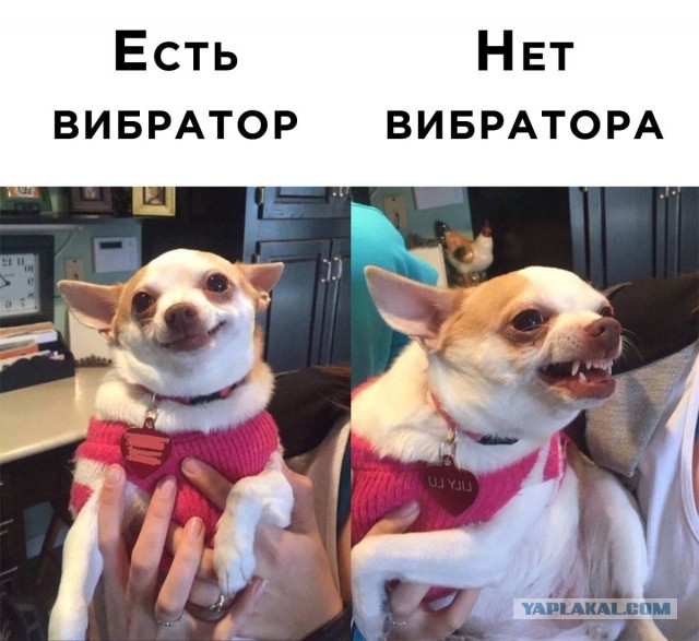 Современные женщины. Ну что с вами не так?