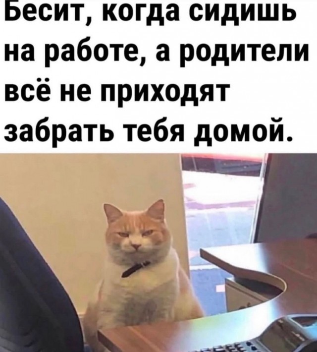 Завалялось тут случайно немного забавных картинок