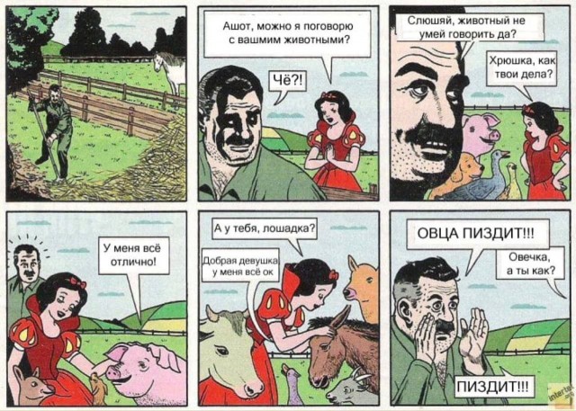 Картинки из Дристоля - 4