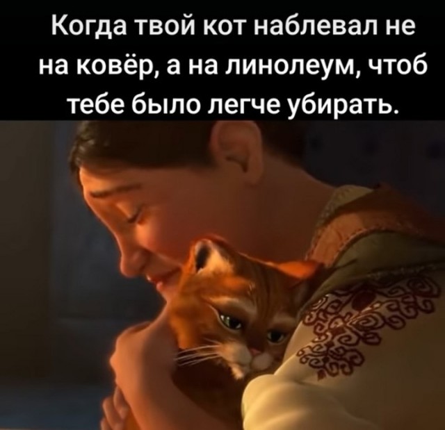 Завалялось тут случайно немного забавных картинок