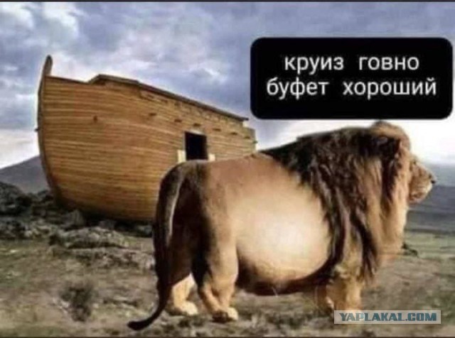 Так себе картинки 08.12.24