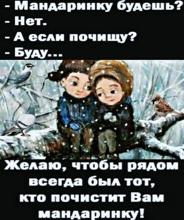 Весёлый полтишок 10.12.24