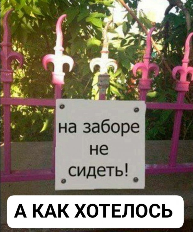 Так себе картинки 17.02.25
