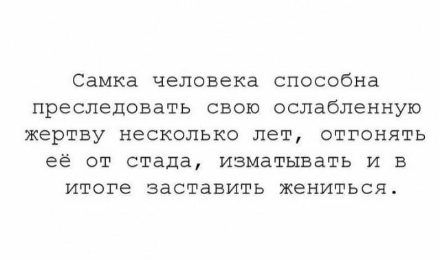 Так себе картинки 12.03.25
