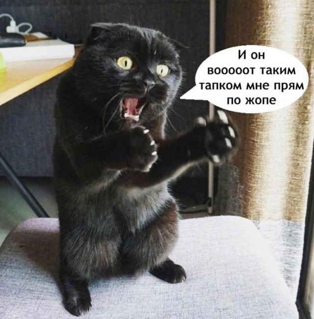 Веселые картинки в понедельник (07.04)