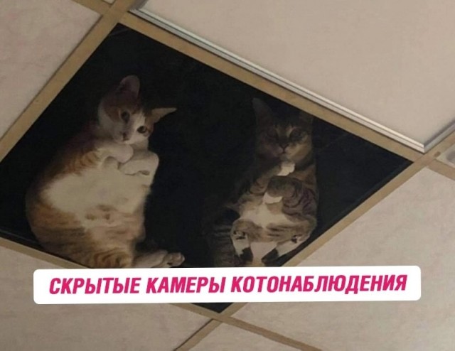 Завалялось тут случайно немного забавных картинок