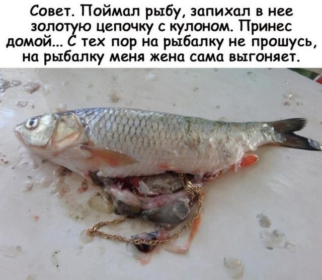 ТРРРидцать тРРРи от 3 июня