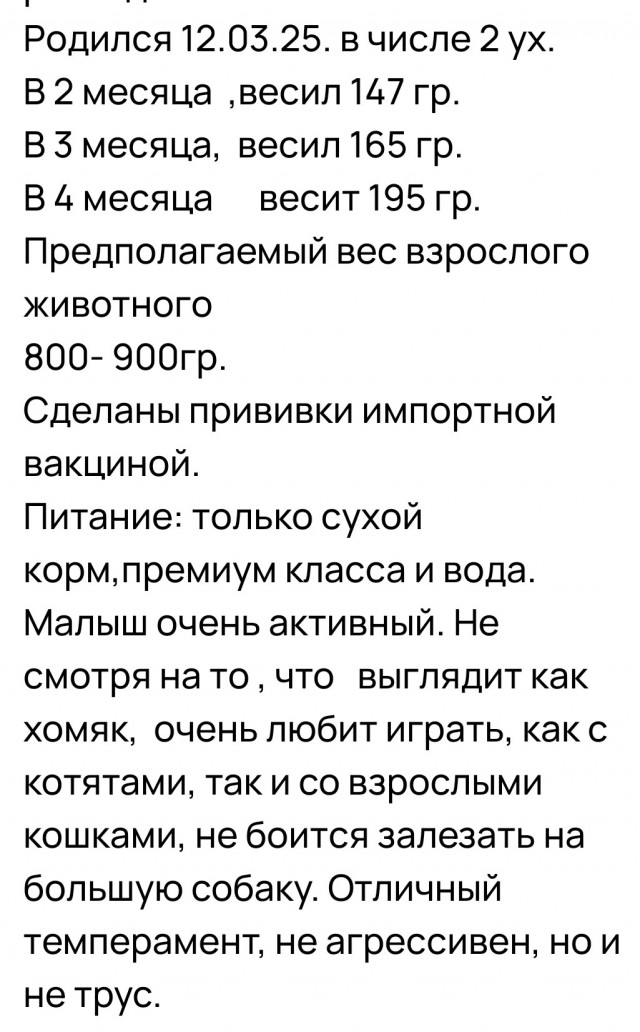 И до котиков добрались