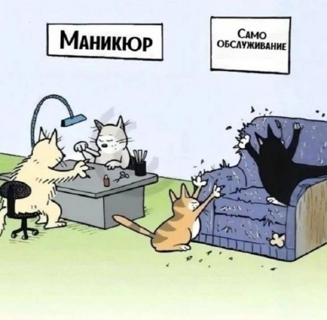 Кто сказал "Мяу"?