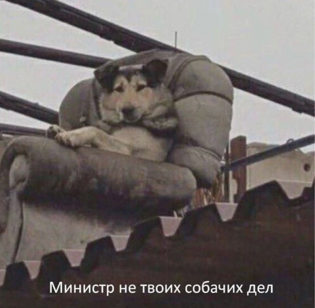 Веселое настроение в картинках (28.09.2025)
