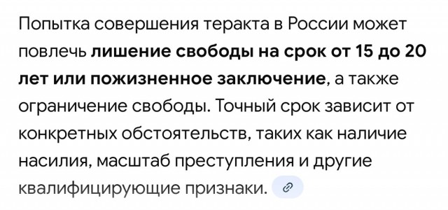 Тру-крайм блогершу арестовали после попытки поджога здания МВД