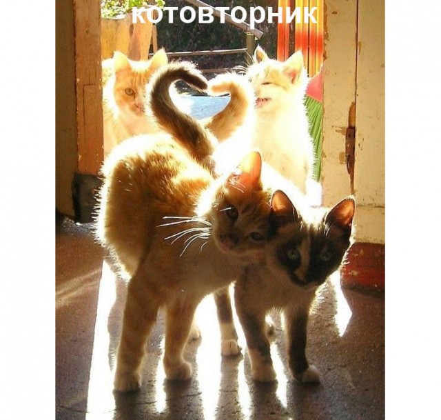 Прикольные и просто красивые картинки 18.11.2025