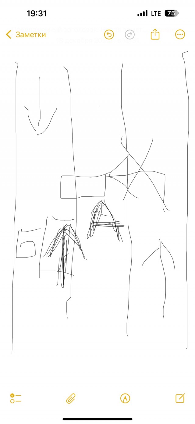 Кто виноват в ДТП?