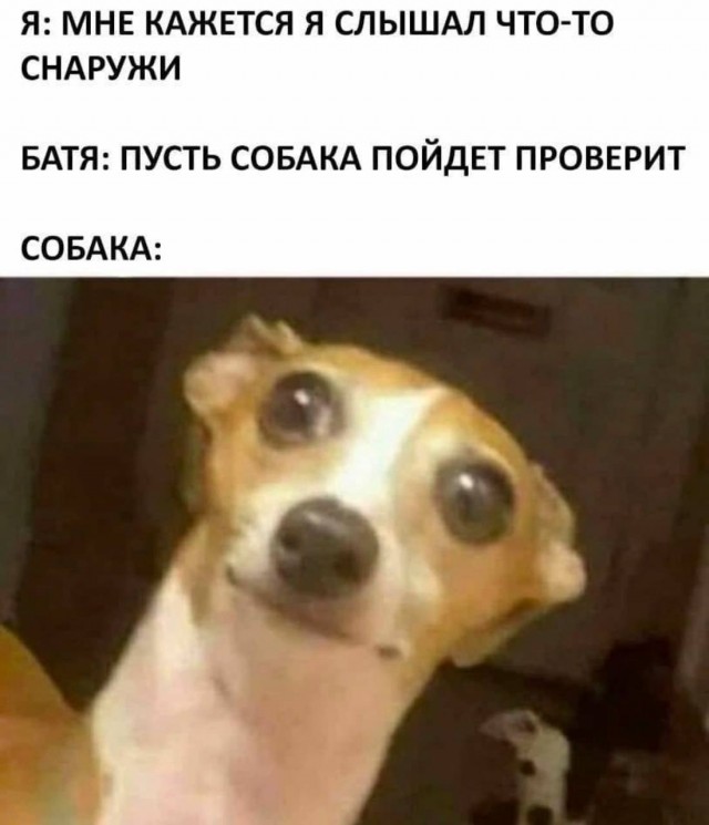 Воскресные картинки