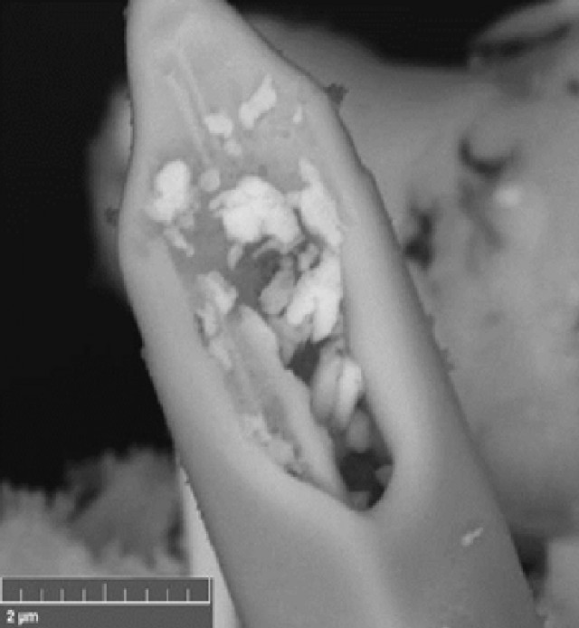 Микромир без дураков и ИИ