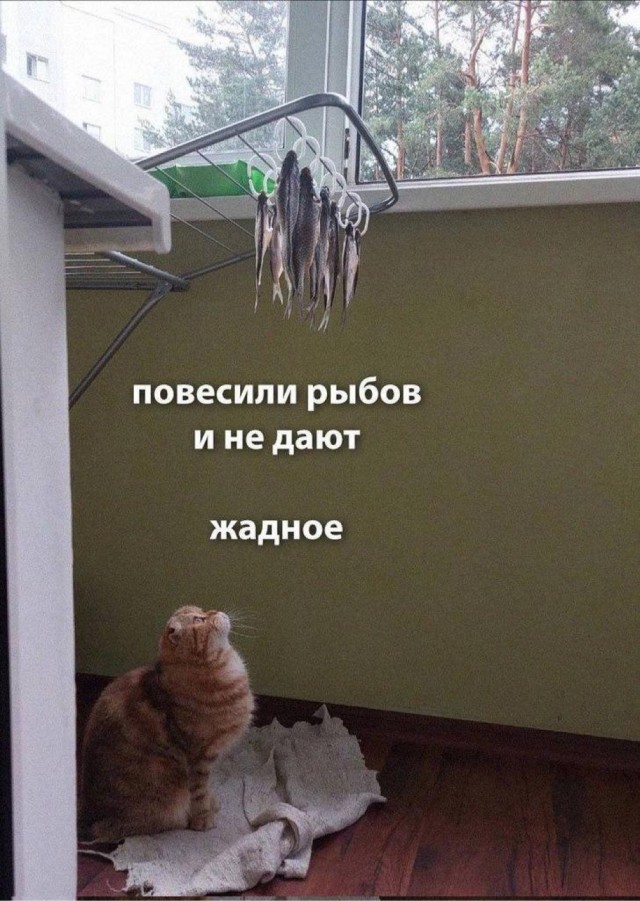 Прикольные и просто красивые картинки 27.02.2026