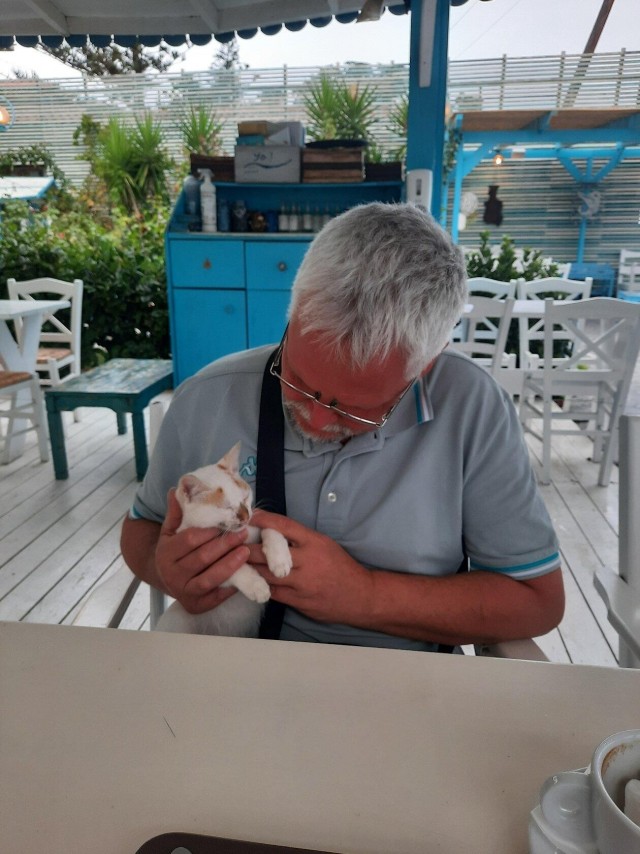 Девушка каждый день кормила бездомную кошку, а когда та родила единственного котёнка, то вежливо попросила забрать его