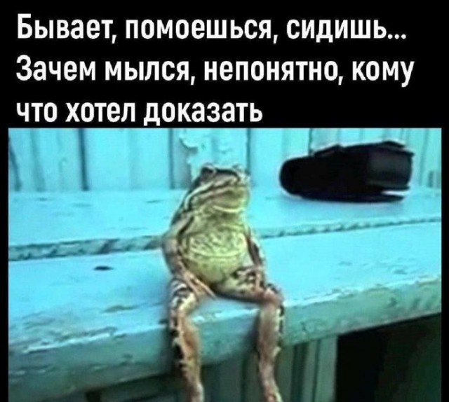 Картиночки, баянчики 25 апреля