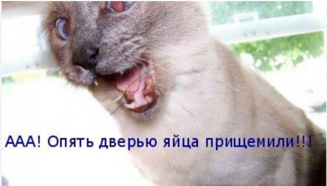 Здравствуйте, друзья. Послушайте мою новую песню. (с) Сами-знаете-кто
