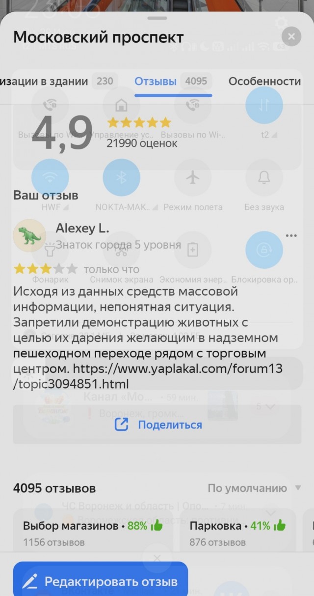 Монахиню, спасающую котят, прогнали от ТЦ в Воронеже, где она раздавала пушистиков