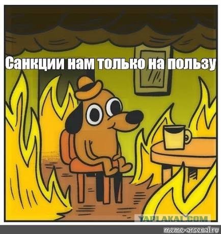 Мамедов о результатах ЧМ: "За пять лет мы ослабли. Не в пять раз – в пятьдесят. Мы не конкурентоспособны практически во всём".