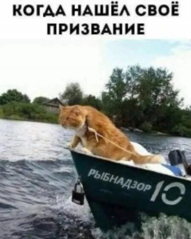 Картинки для деградации 252 (разной степени свежести)