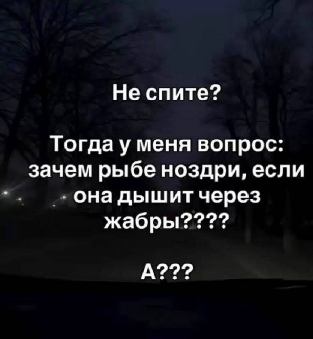 Так себе картинки 18.08.26