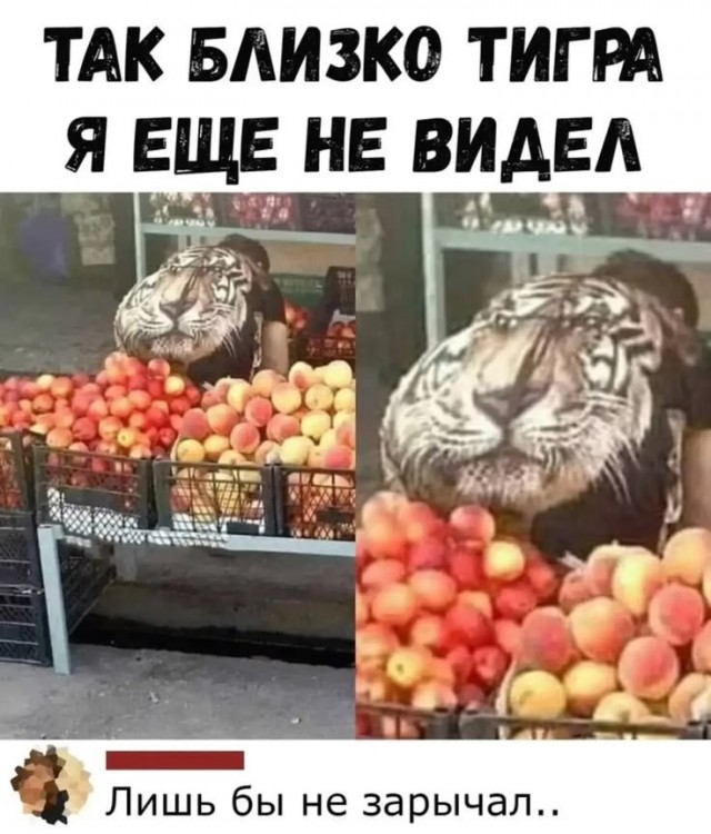 Прикольные и просто красивые картинки 04.09.2026