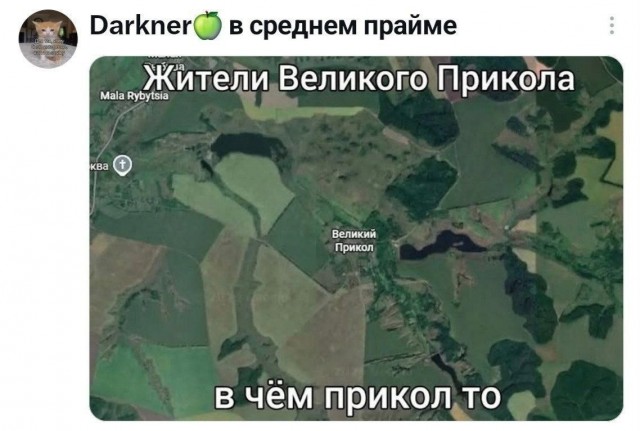 Картинки из Х(twitter)