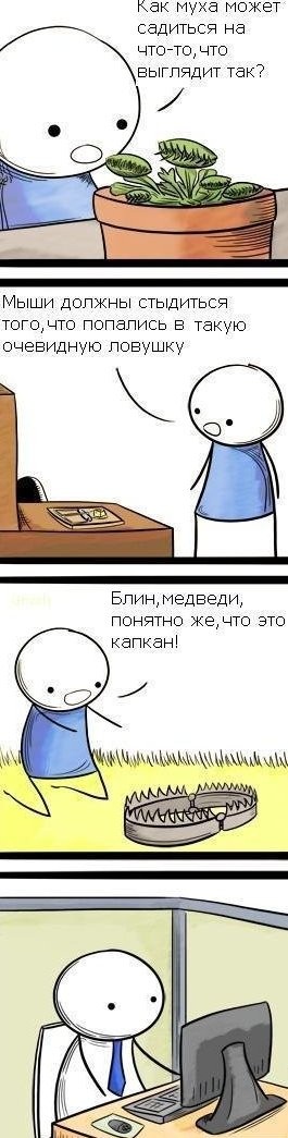 Об идеологии ловушек