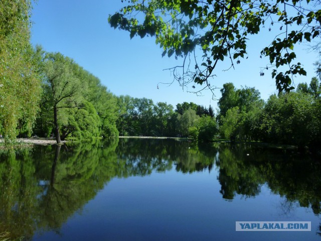 Деревенская Америка