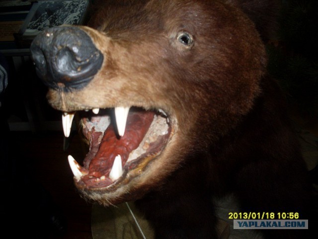 Я люблю одновременно троих мужчин