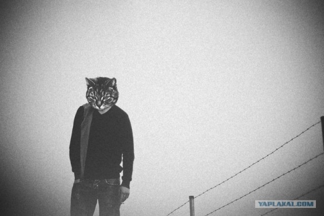 Звери - люди