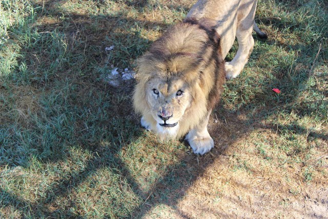 Отчёт о поездке в Крым 12.07 - 29.07