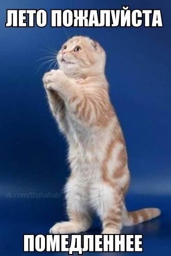 Лента анекдотов на вторник