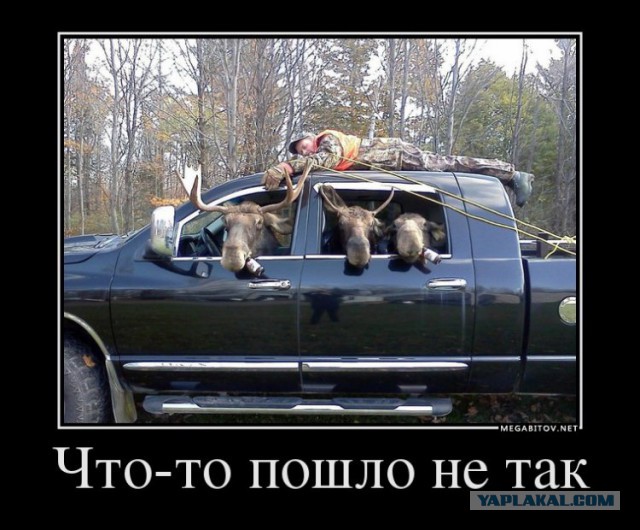 Демотиваторов пост, добавляйте свои