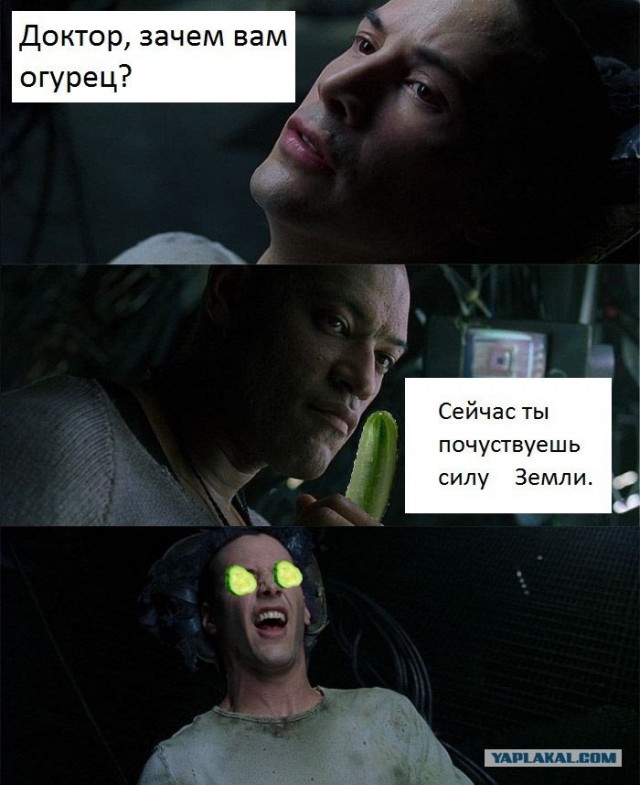 Сила Земли