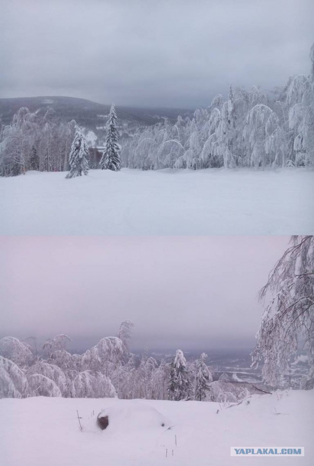 Зима 2014-2015