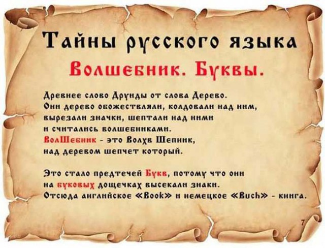 20 фактов обо всем